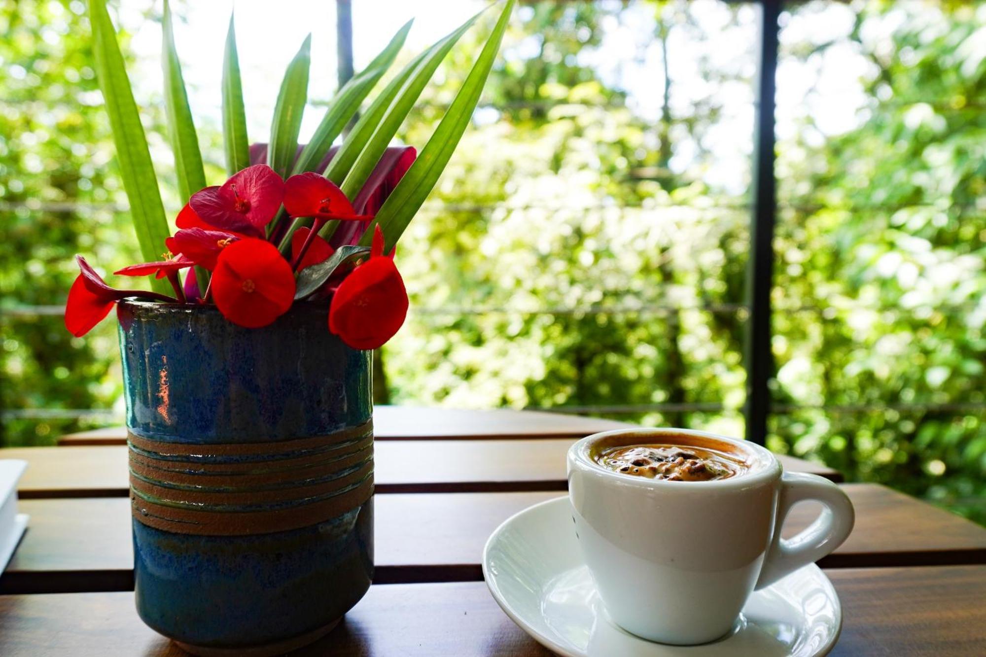 Sueno Rio Celeste Boutique B&B 비자구아 외부 사진