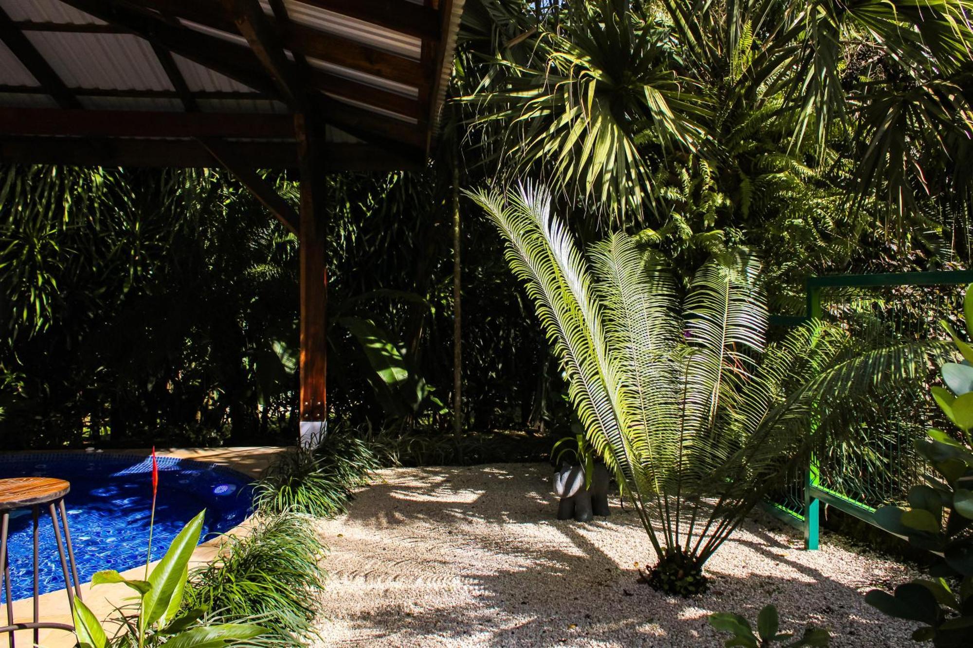 Sueno Rio Celeste Boutique B&B 비자구아 외부 사진